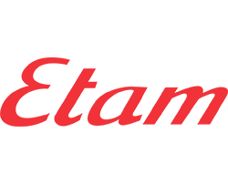 petit logo etam png