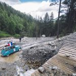 course Cocorico dans la forêt