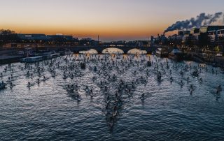 la seine nautic sup paris crossing course de paddle