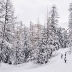 Lacoste Les Etoiles du Sport