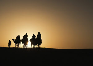 Photographe sur des chameaux dans le désert au coucher de soleil